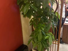 -鼎族怡华·指压·油压·经络(西单昌盛大厦店)