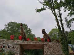 -木兰云雾山