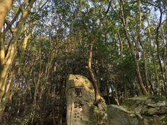 -普陀山风景区-佛顶山