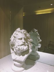 -CE·专业蛋白•羽毛接发·潮色烫染品牌店