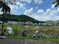 -红山村