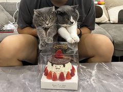 -芭比堂动物医院广州顽皮分院