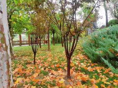 -武清南湖绿博园