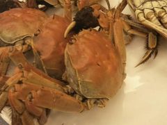 最强河蟹-瑞诗酒店-西餐厅