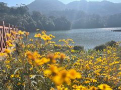-广州市石门国家森林公园