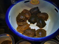 -大张烙馍村(泉山店)
