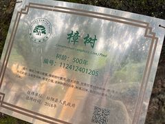 -杨家堂村