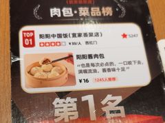 -阳阳中国饭(北京荟聚店)