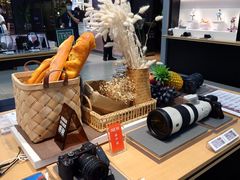 -Sony Store索尼(广州正佳店)