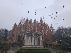 -音乐台