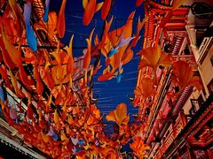 -豫园
