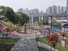 -大渡口区义渡公园