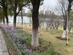 -白塘生态植物园
