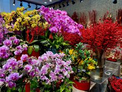 -双季花艺园艺市场(浦东店)