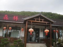 -呼吸森林·生态农庄农家乐私房菜