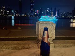 -武汉两江游览·夜游长江(汉口粤汉码头)