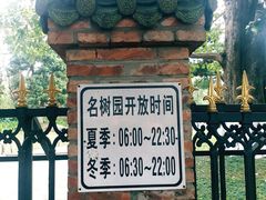 -名树园