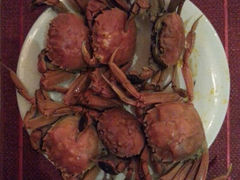 android_upload_pic-洛阳国际大酒店-香榭丽舍西餐厅