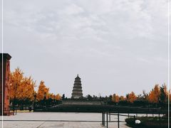 -大雁塔北广场音乐喷泉