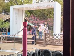 -金鸡湖桃花岛