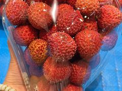 -城市批发中心(芙蓉汉城店)