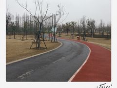 -上海长兴岛郊野公园