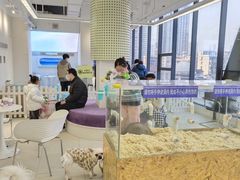 -怪兽屋·羊驼·猫咖·狗咖(俊华广场店)