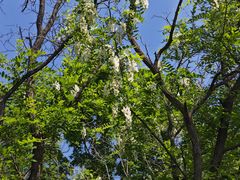 -白水寺森林公园