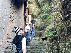 -杨家堂村