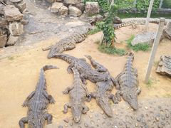 -石家庄市动物园