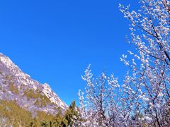 -北京凤凰岭