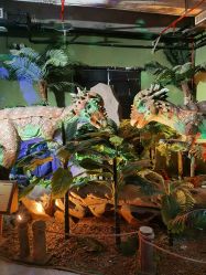 -恐龙探索乐园(磁器口店)