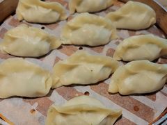 荠菜猪肉饺子-老班长手工灌汤包老店(东山店)
