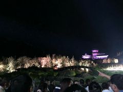 -禅宗少林·音乐大典
