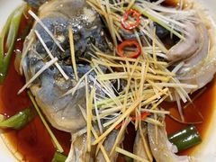 -煲来饱去冷水鱼