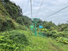 -野象谷景区