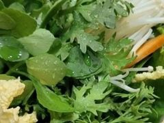 青菜拼盘-多蒙德养生火锅