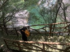 -花岩国家森林公园