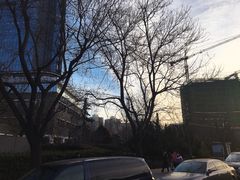 -西门子中国有限公司(阜通东大街店)