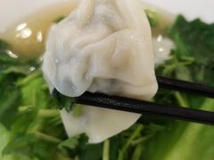 荠菜鲜肉饺-袁记云饺(益田村店)