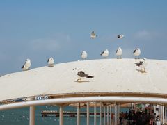 -海驴岛(荣成市)