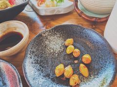 -Hatsune隐泉日式料理(三里屯太古里店)