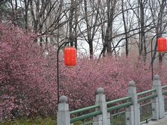 -洛阳市隋唐城遗址植物园