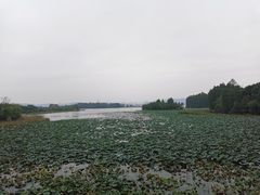 -东湖落雁景区