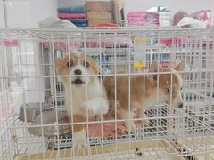 -山东柏宁水族批发广场