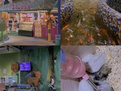 -江和美海洋公园