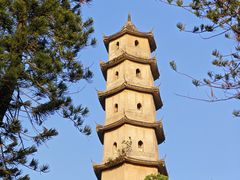 -江心屿景区