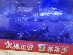 -三江源活鱼现烤(维多利摩尔城店)