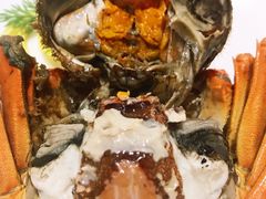 -扬州狮子楼·非遗淮扬菜(总店)