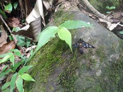 -福建天门山